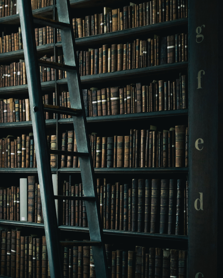 A ladder in front of a bookshelf